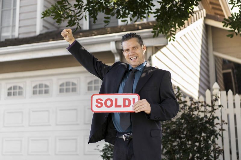 Real Estate Agent