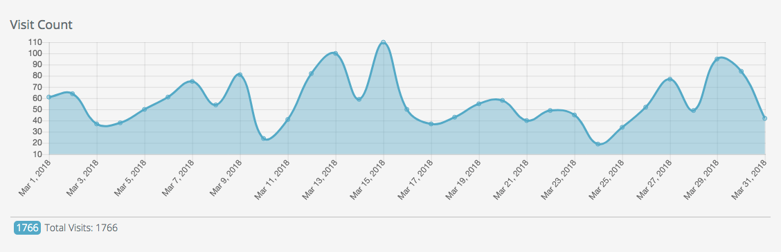 Visit Count Report