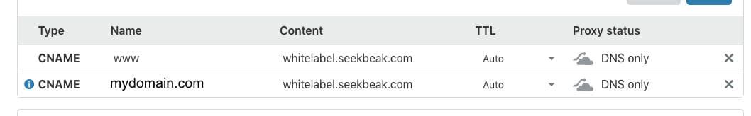 Cloudflare top level DNS settings